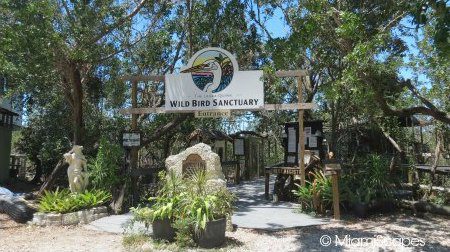 FL Keys Wild Bird Rehabilitation Center